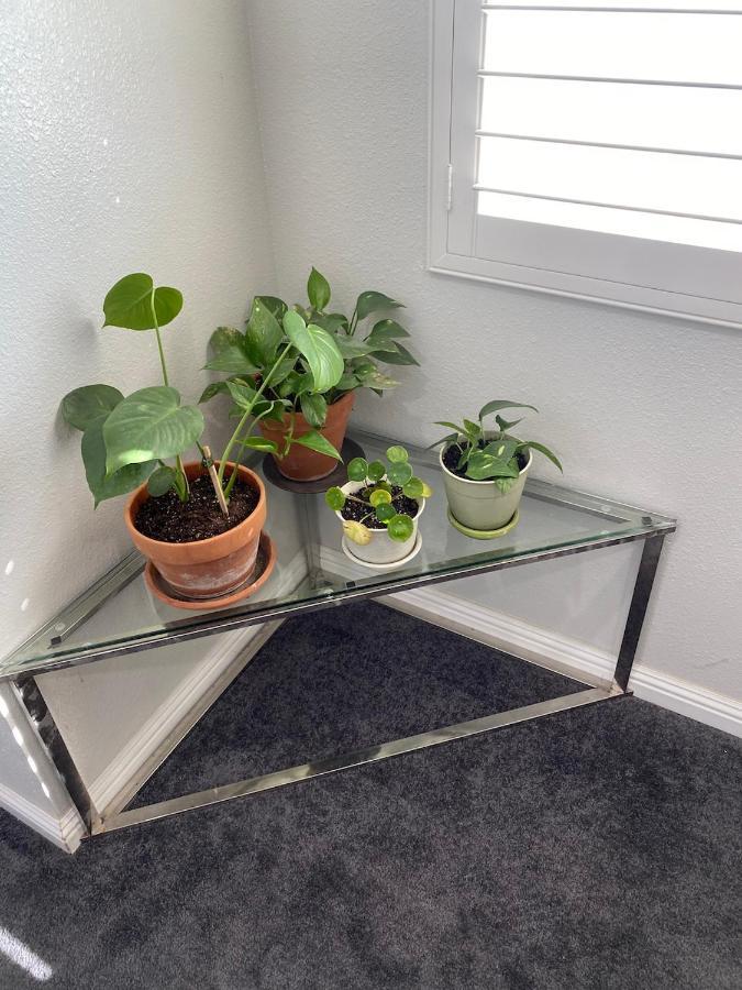 Private Room In La With Free Wifi And Tv With Shared Kitchen 로스앤젤레스 외부 사진